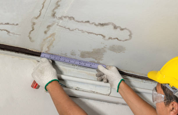 Reliable Mold Remediation contractor in Sealevel, NC by Water Damage Irwin